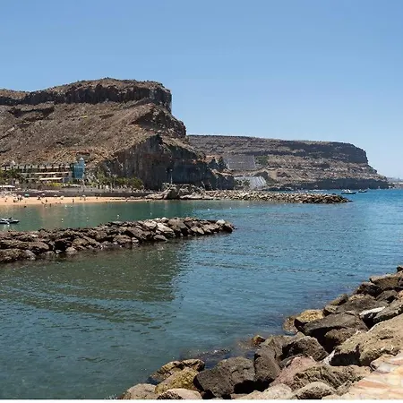 Amarre Palm * 푸에르토 데 모간